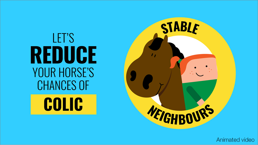 Stable Neighbours Colic Prevention