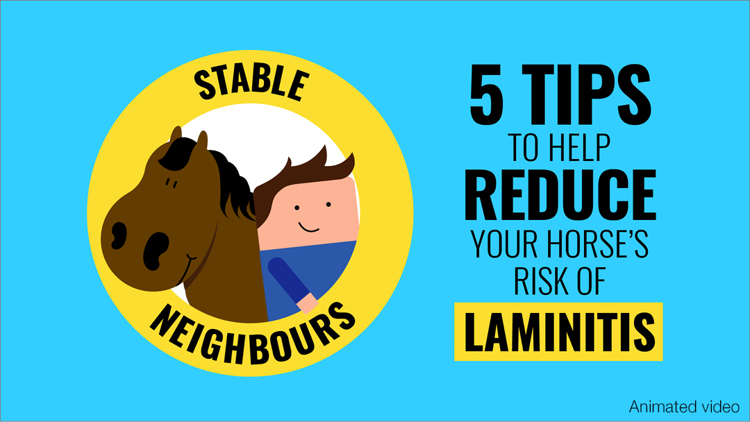 Stable Neighbours Laminitis Prevention