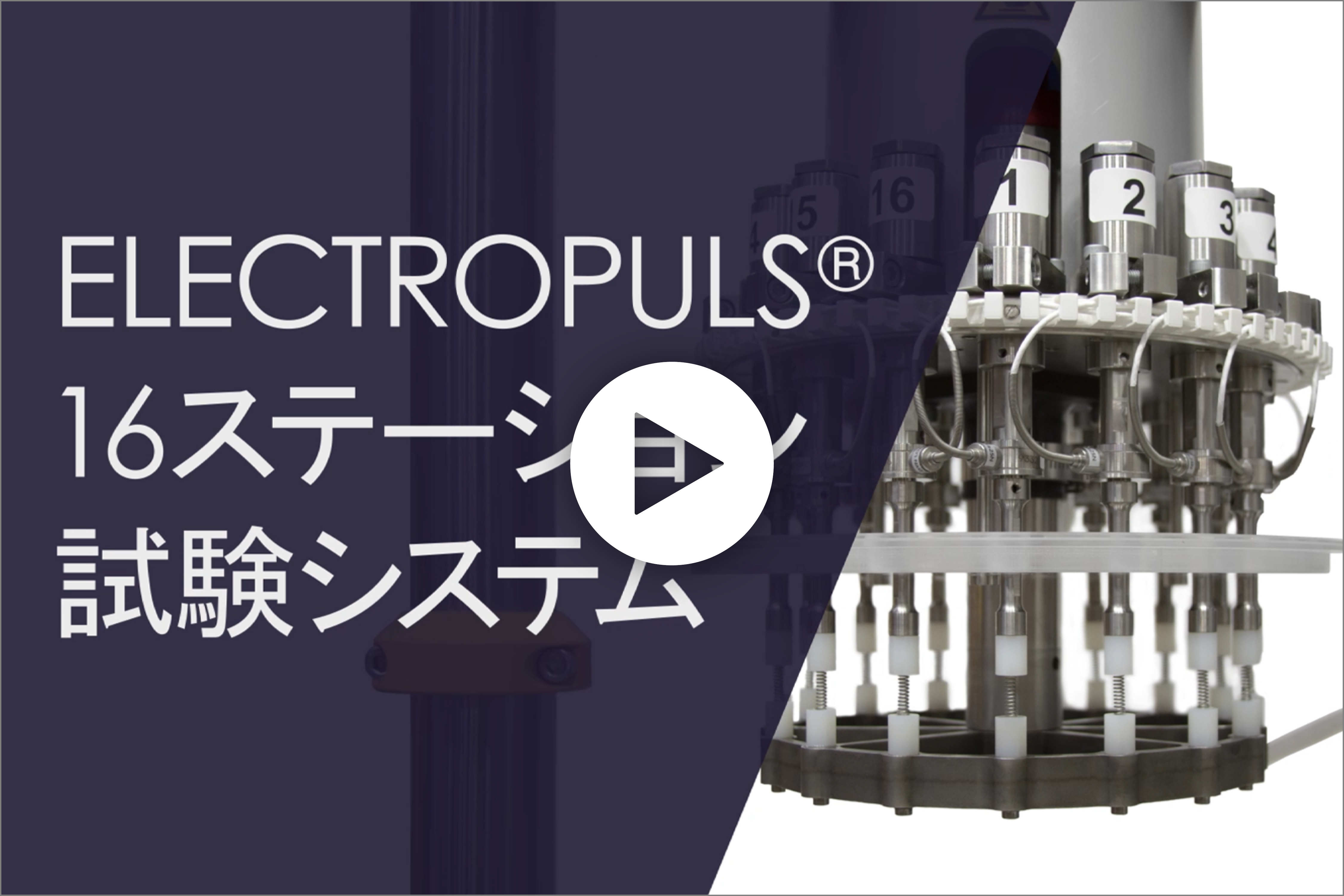 Instron 16 Station Stent Testing Japanese Video